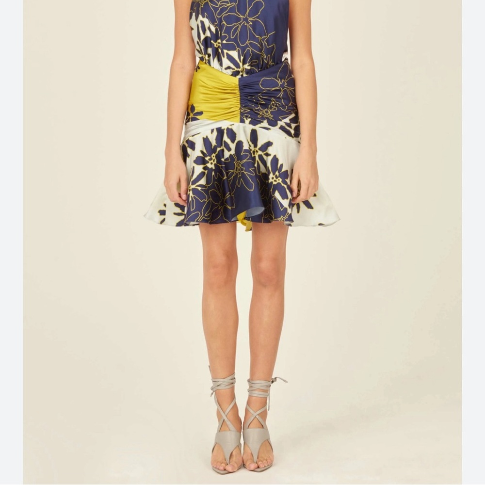 Silvia Tcherassi Loriana Skirt NWT